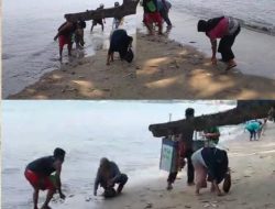 Mendadak Ikan Naik ke Daratan di Pantai Carita Banten