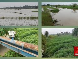 Akibat Alih Fungsikan Sepadan Sungai Jadi Empang, Petani di Tanara Kab. Serang Terancam Gagal Tanam