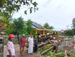 Pohon Tumbang Tutup Akses Kp. Kademangan Kecil Ds Sukajaya Pontang