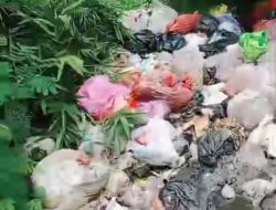 Lima Bulan Tak Diangkut DLH. Sampah di Kampung Pematang Cikeusal Timbulkan Bau Busuk