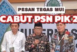 MUI Minta PSN di PIK Dicabut