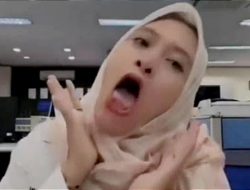 PT. Timah Resmi Pecat Karyawan yang Viral Ejek Honorer Pakai BPJS