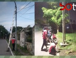 Pemasangan Tiang dan Penarikan Kabel PT. KMDP Telkom Akses IndiHome Diduga Tak Miliki Izin Resmi