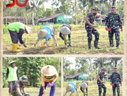 Dukung Program Ketahanan Pangan Pemerintah, Satgas Yonif 131/Brajasakti dan Warga Papua Tanam Jagung di Lahan Kosong