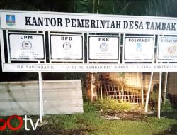 Kades Tambak Menyangkal Jadi Calo Rekrutmen Karyawan PT. Nikomas