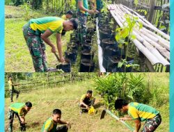 Satgas Pamtas Yonarmed 11 Kostrad Wujudkan Kemandirian Pangan