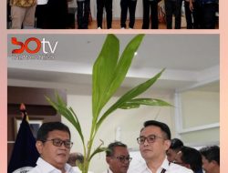 Bernilai Ekonomi Tinggi, Wamen Transmigrasi Dorong Budidaya Kelapa Genjah di Kawasan Transmigrasi