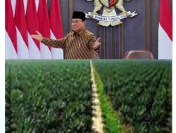 Prof Dr Sutan Nasomal Minta Presiden RI Perintahkan Semua Menterinya Sidik Ancaman Punahnya Pertanian Persawahan di Indonesia