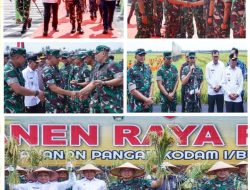 Panglima TNI Panen Raya di Lahan Ketahanan Padi Kodam I/BB