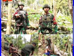 Satgas Pamtas Yonif 763/SBA Pos Afkrem Bantu Warga Buat Pagar Kebun