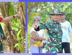 Dansatgas TMMD Reguler Ke-125 Kodim 0735/Surakarta Tinjau Kesiapan Lahan Ketapang