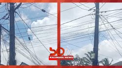 Diduga Tanpa Izin, Kabel Jaringan WiFi Nempel di Tiang Milik PLN