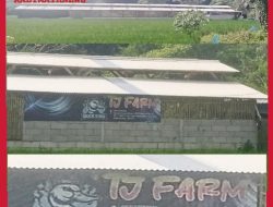 Terkait Keberadaan Peternakan di Lingkungan Komplek Perumahan di Kota Serang