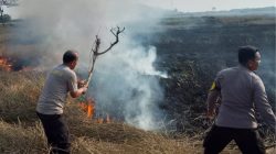 Personel Polsek Pontang Bergerak Cepat Padamkan Kebakaran Lahan Sawah di Desa Linduk