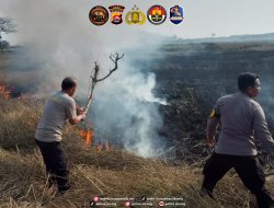 Personel Polsek Pontang Bergerak Cepat Padamkan Kebakaran Lahan Sawah di Desa Linduk