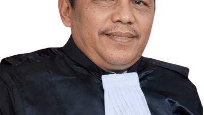 Jangan Takut Kritik Pemerintah, MK Sudah Hapuskan Pasal Penghinaan 